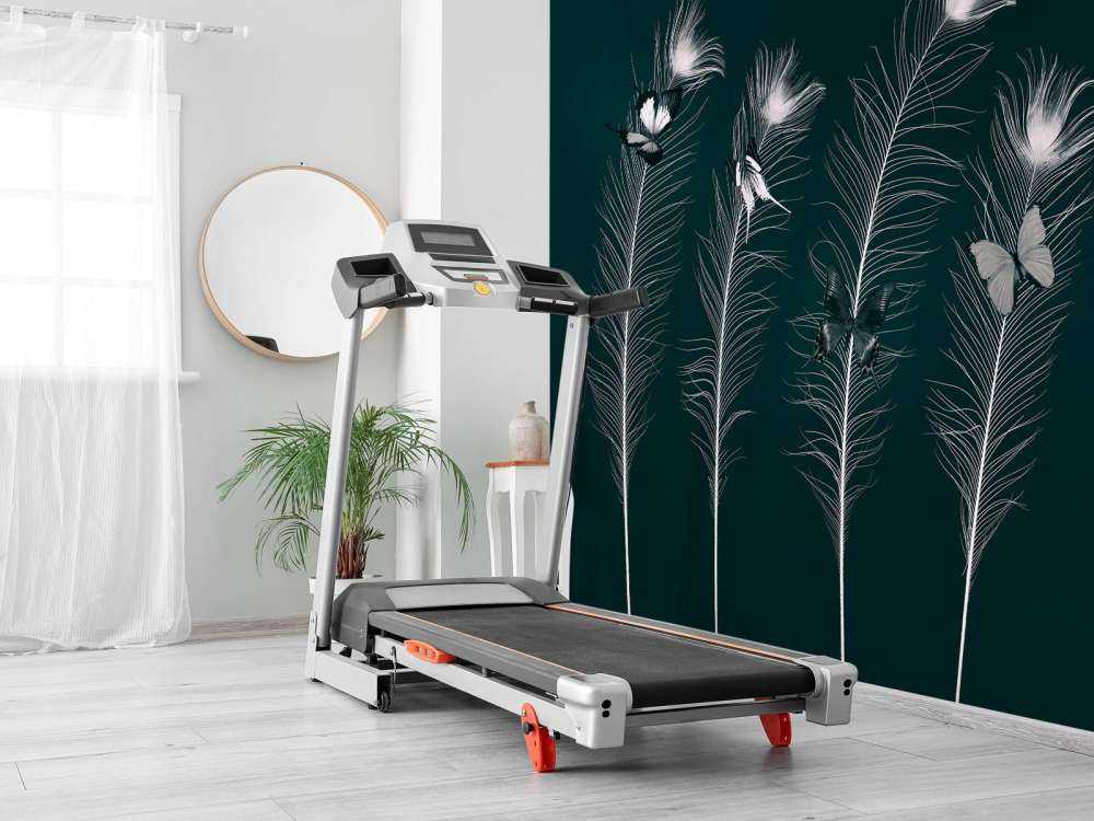 Butterflies on peacock feathers