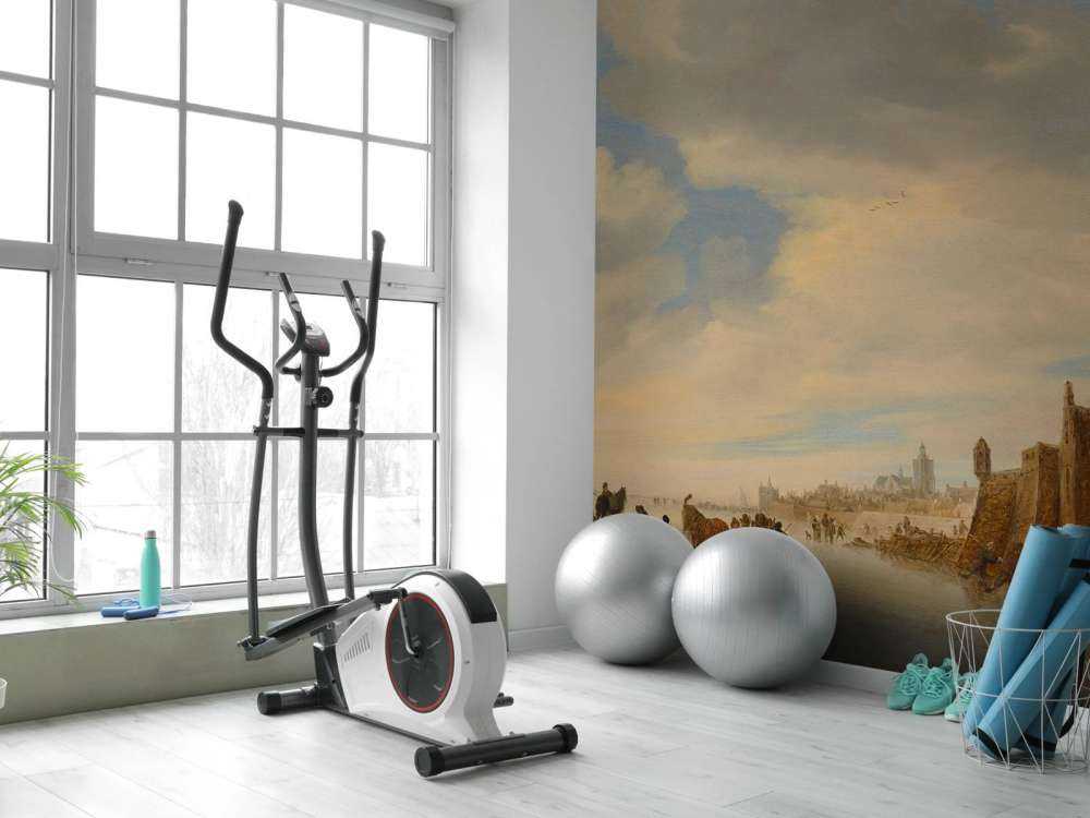 Winter landscape near Arnhem