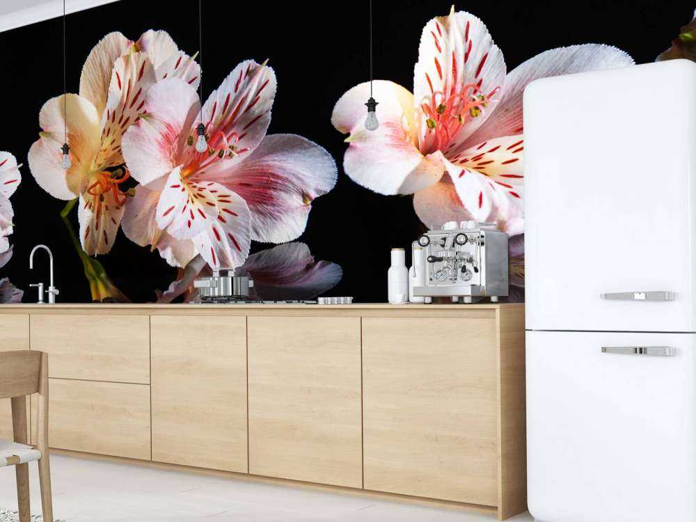 Alstroemeria flowers with reflection