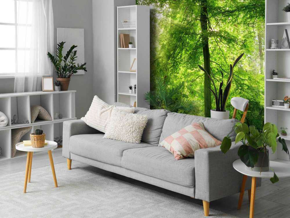 Forest with light mist