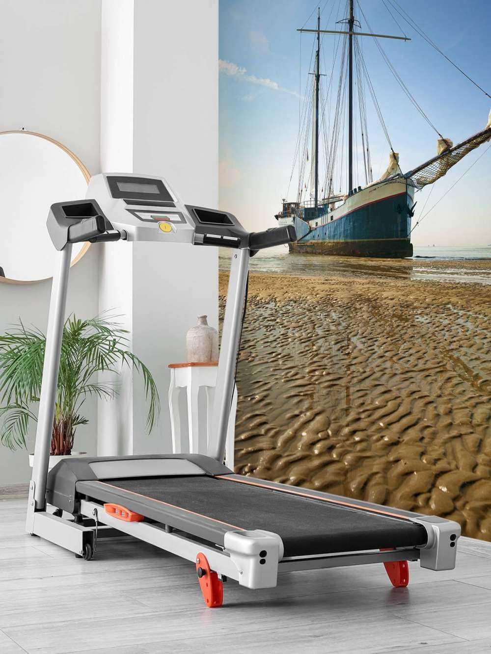 Ship on the mudflats