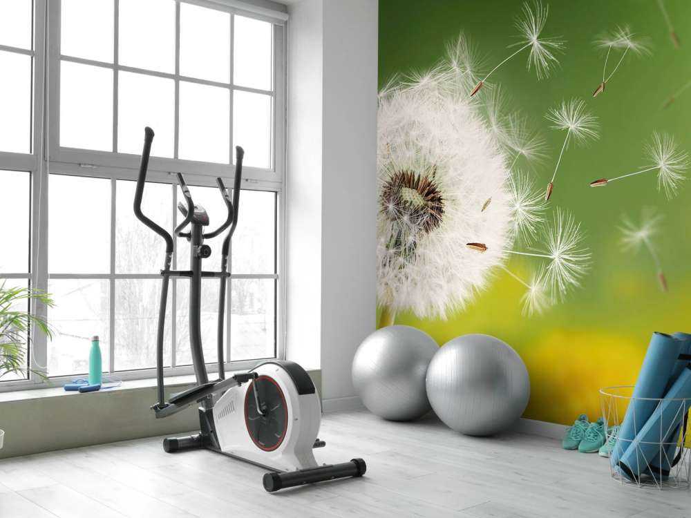 Dandelion