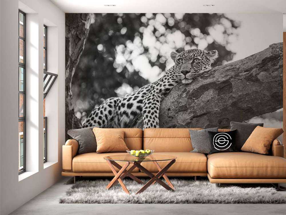 Resting Leopard