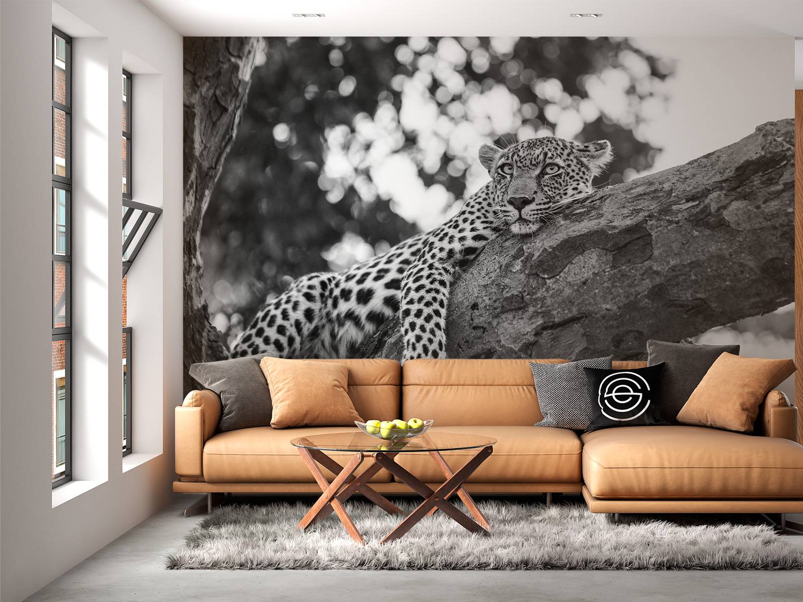 Resting Leopard