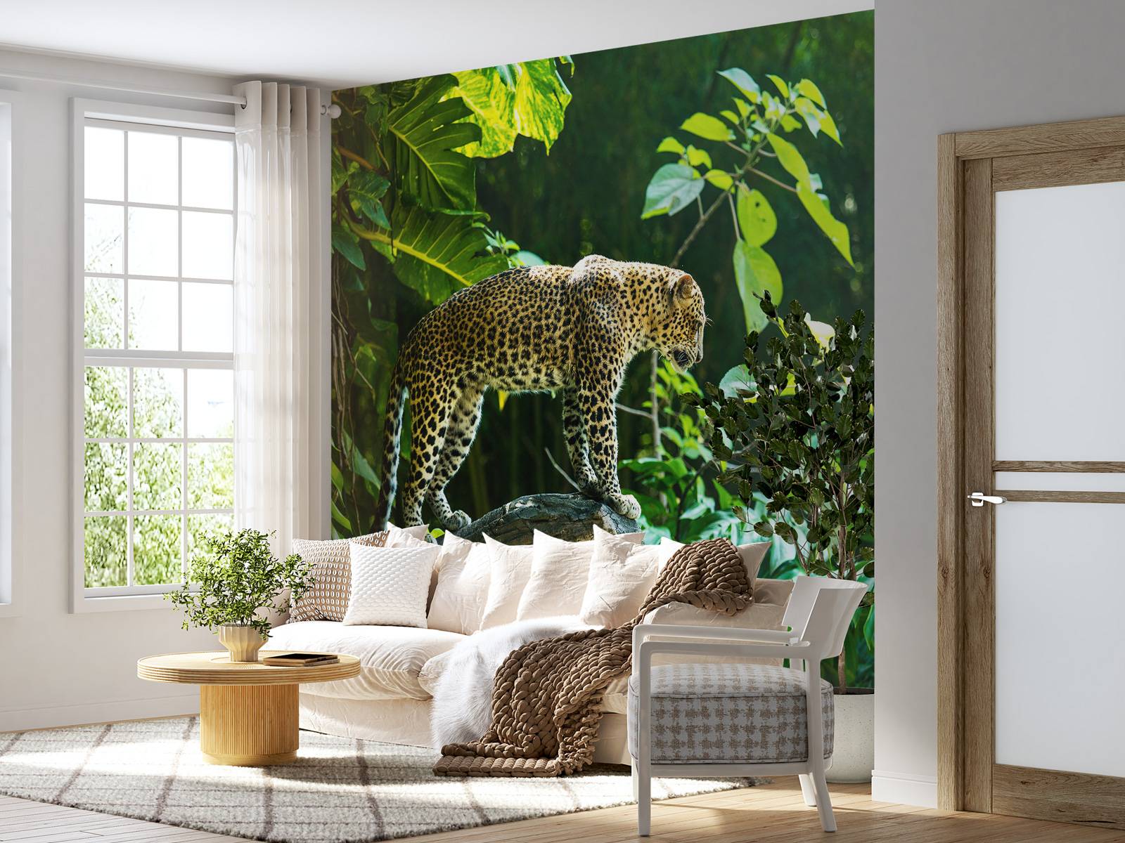 Leopard on a rock face