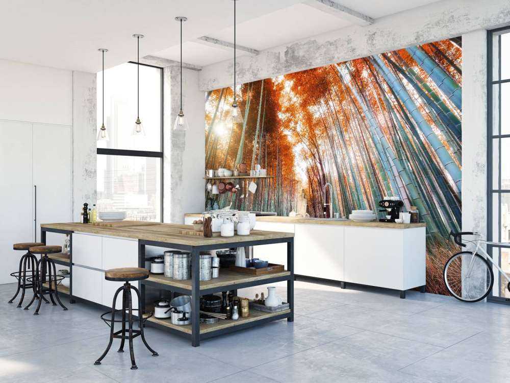 Autumn bamboo forest