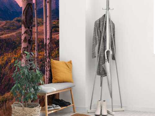 Aspen Frames