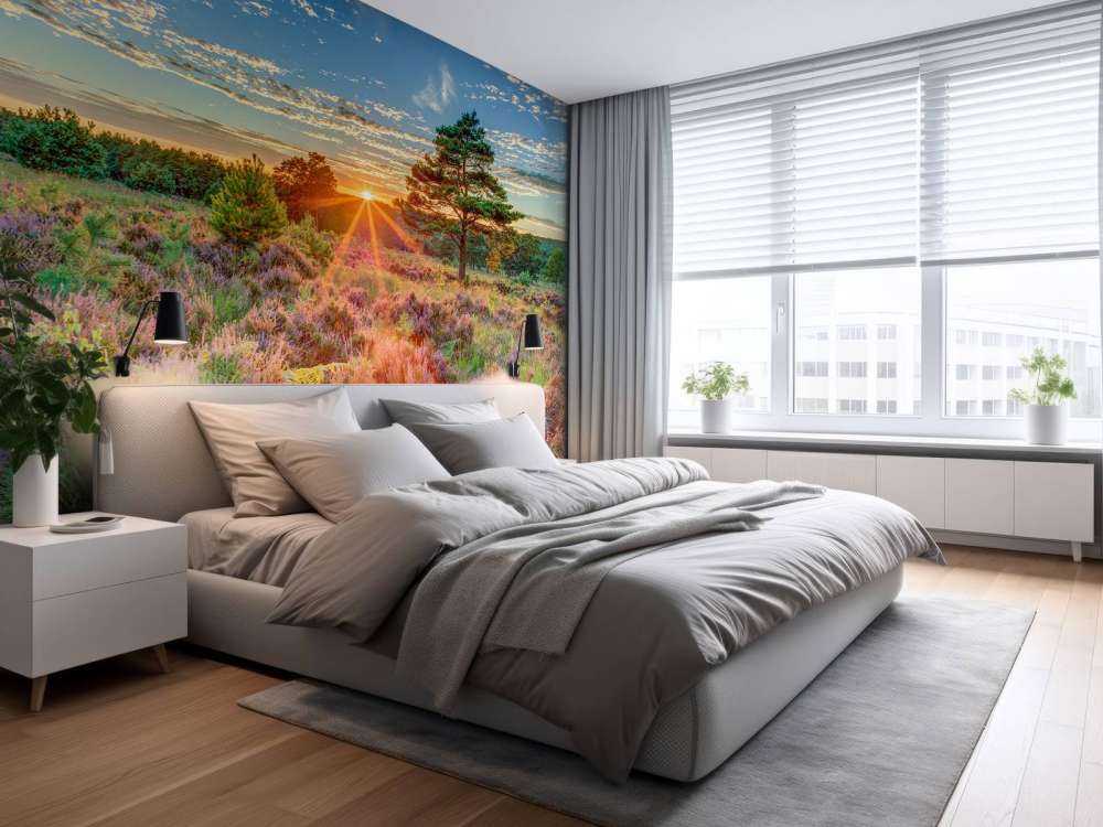 Sunset in the country