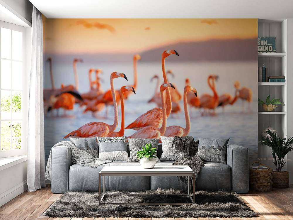Staring flamingos