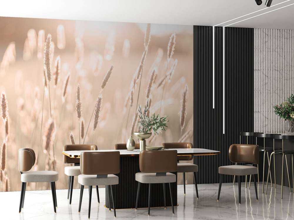 Sunlight through meadow