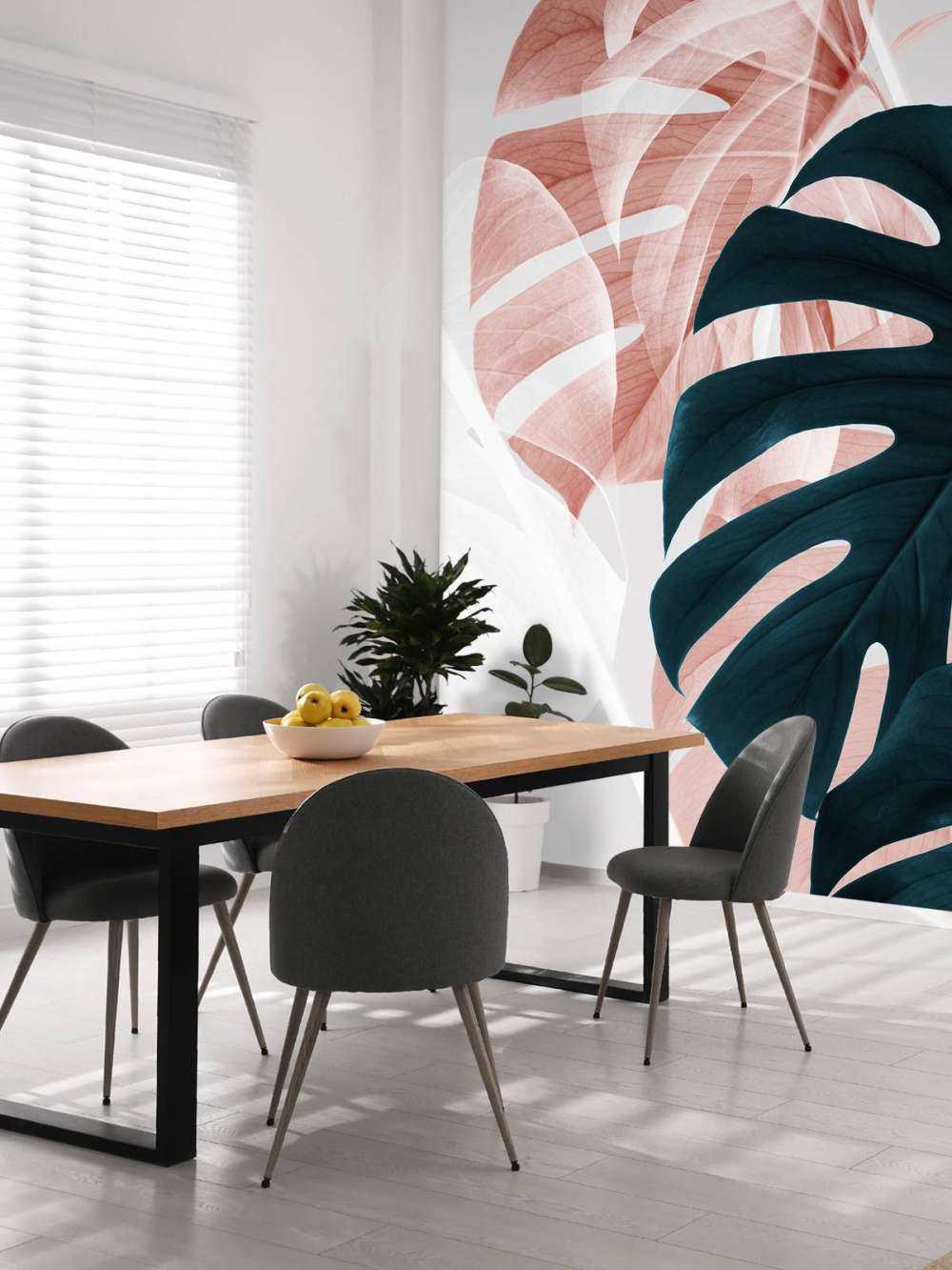 Monstera Creative 09