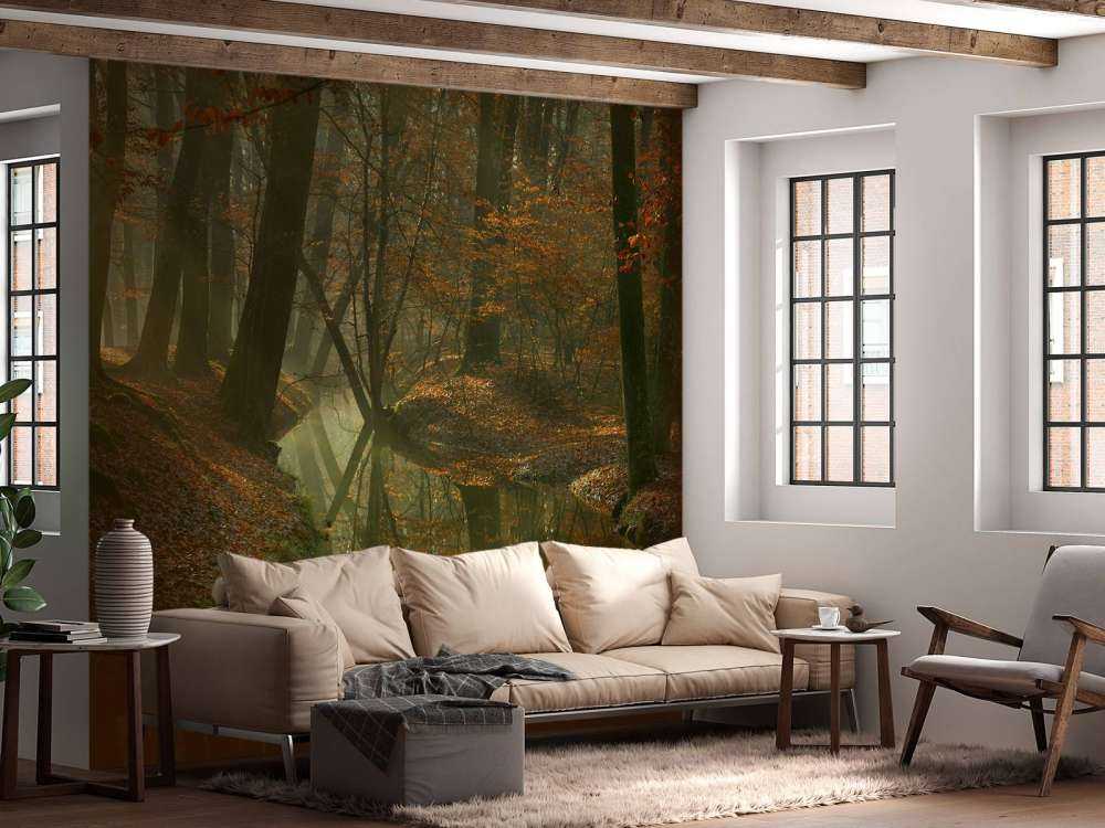River through the forest