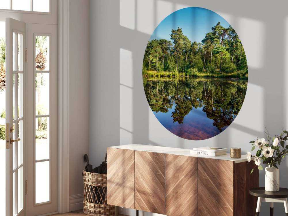 Reflection in woodland marsh