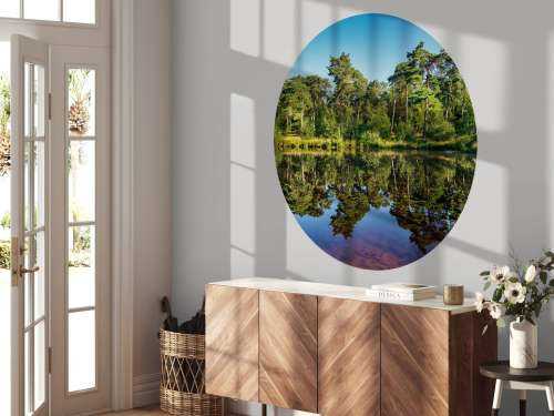 Reflection in woodland marsh