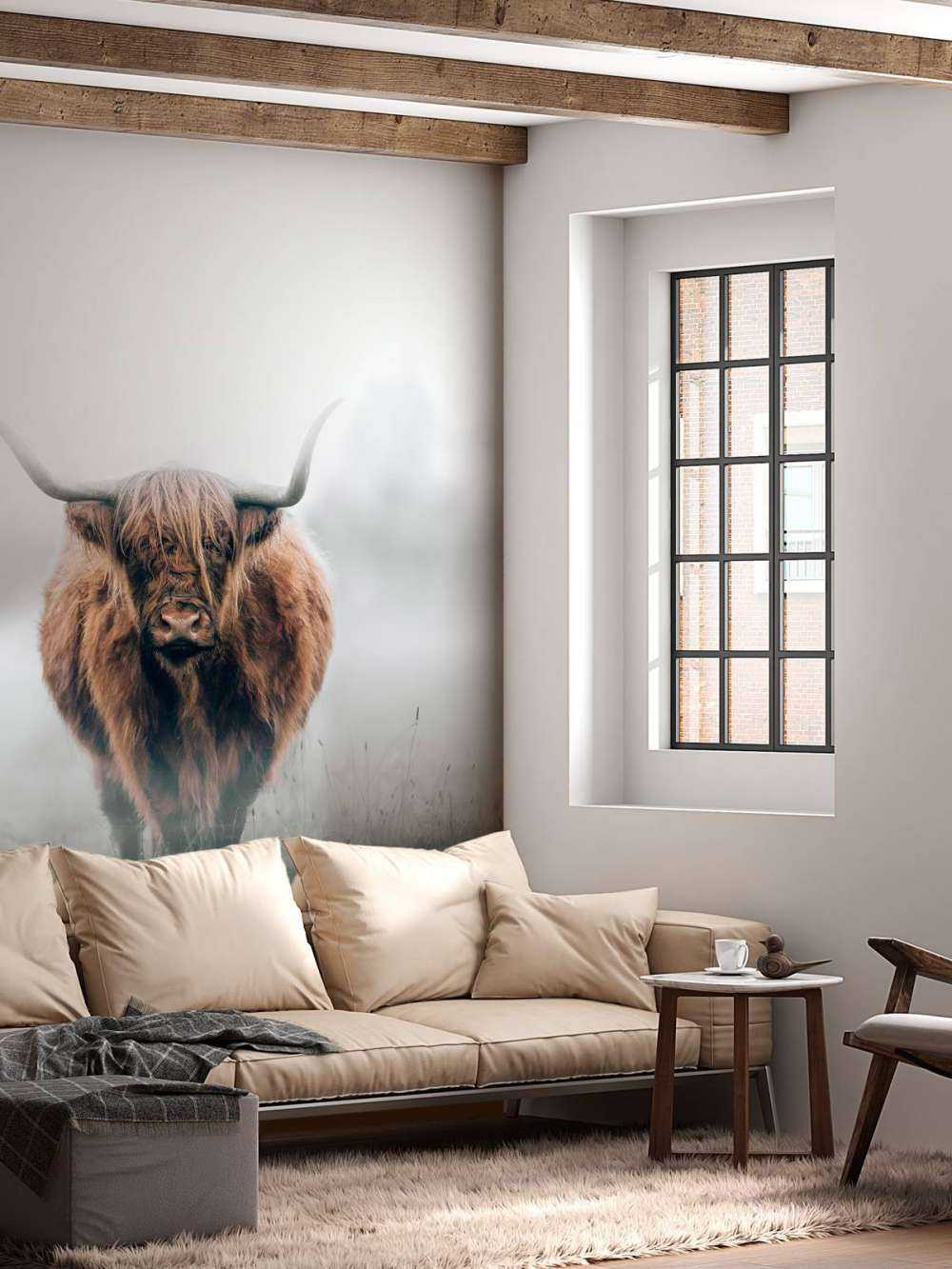 Scottish highlander in dense fog