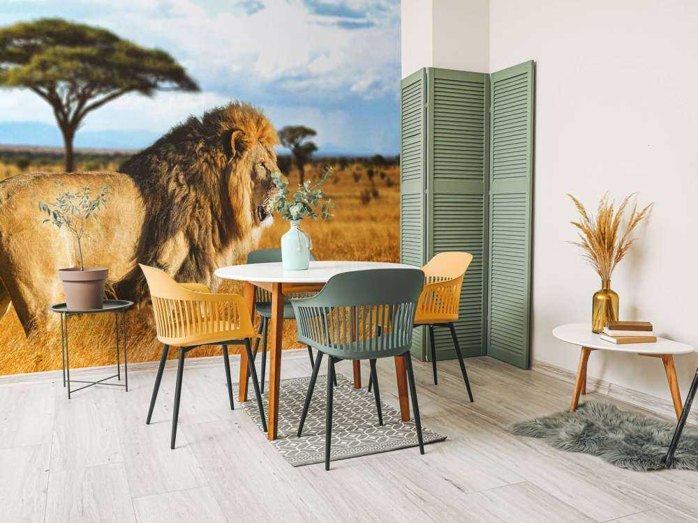 Lion in the savanna