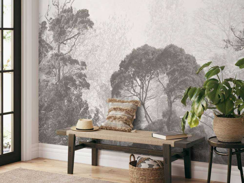 Forest landscape
