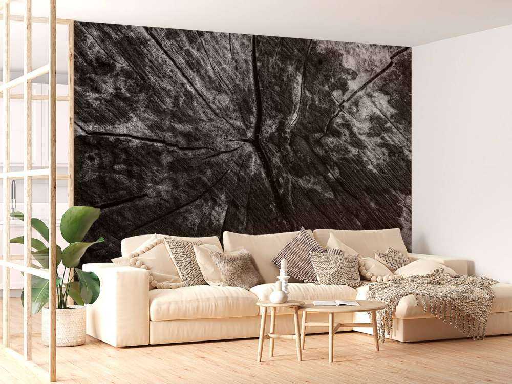 Zwart-witte boomstronk