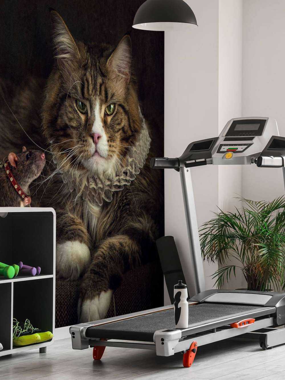 Muis en kat