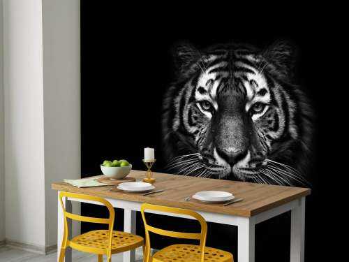 Dark Tiger