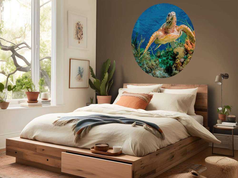 Hawksbill turtle swimming through Caribbean reef