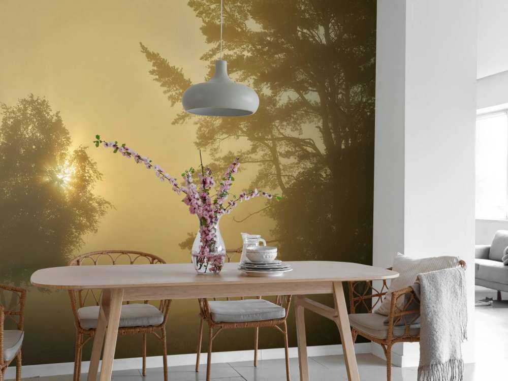 Zonsopkomst in de mist