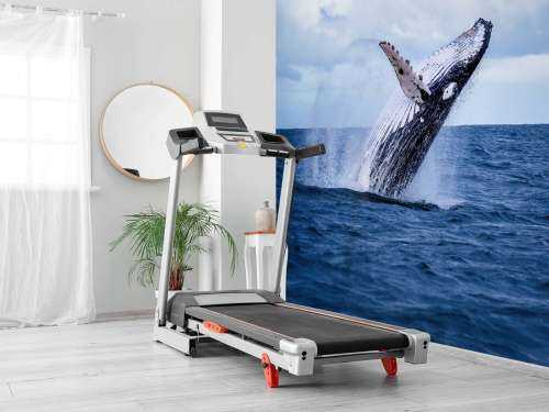 Jumping whale