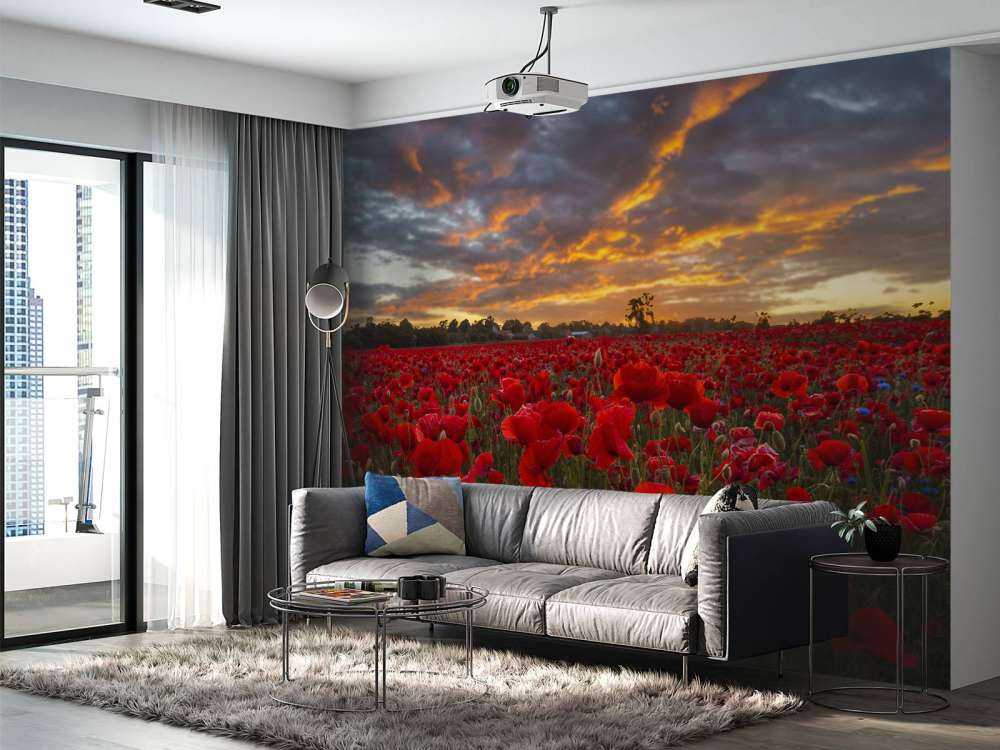 Poppies field with beautiful sky