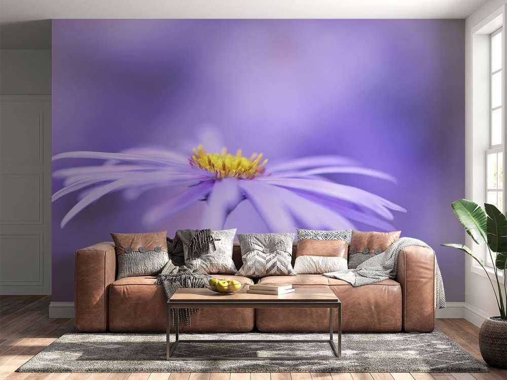 Purple Daisies