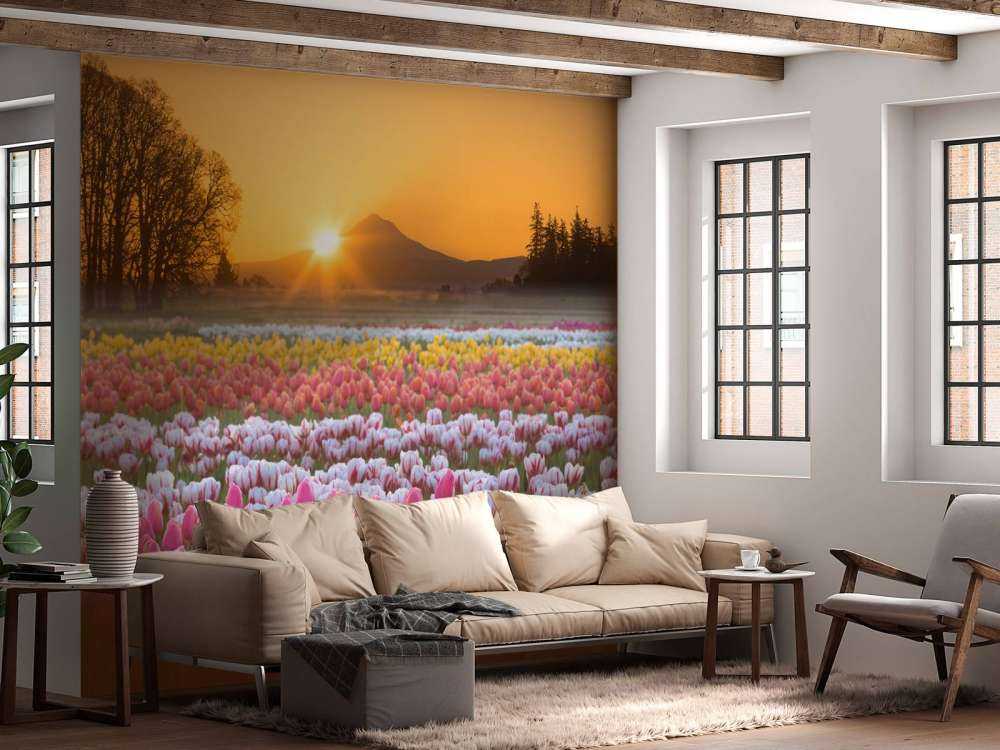 Colorful tulip field