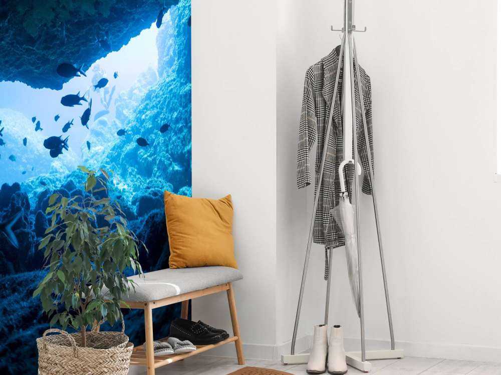 Narrow cave with fish