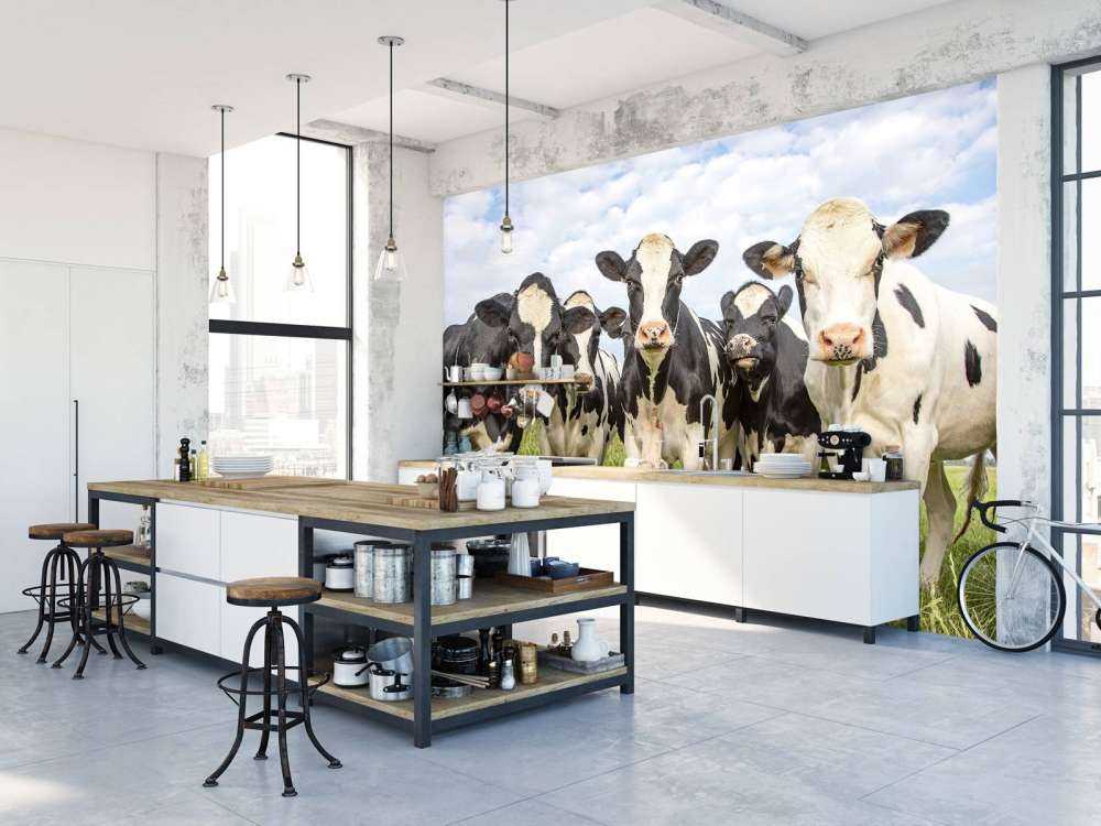 Herd with cows