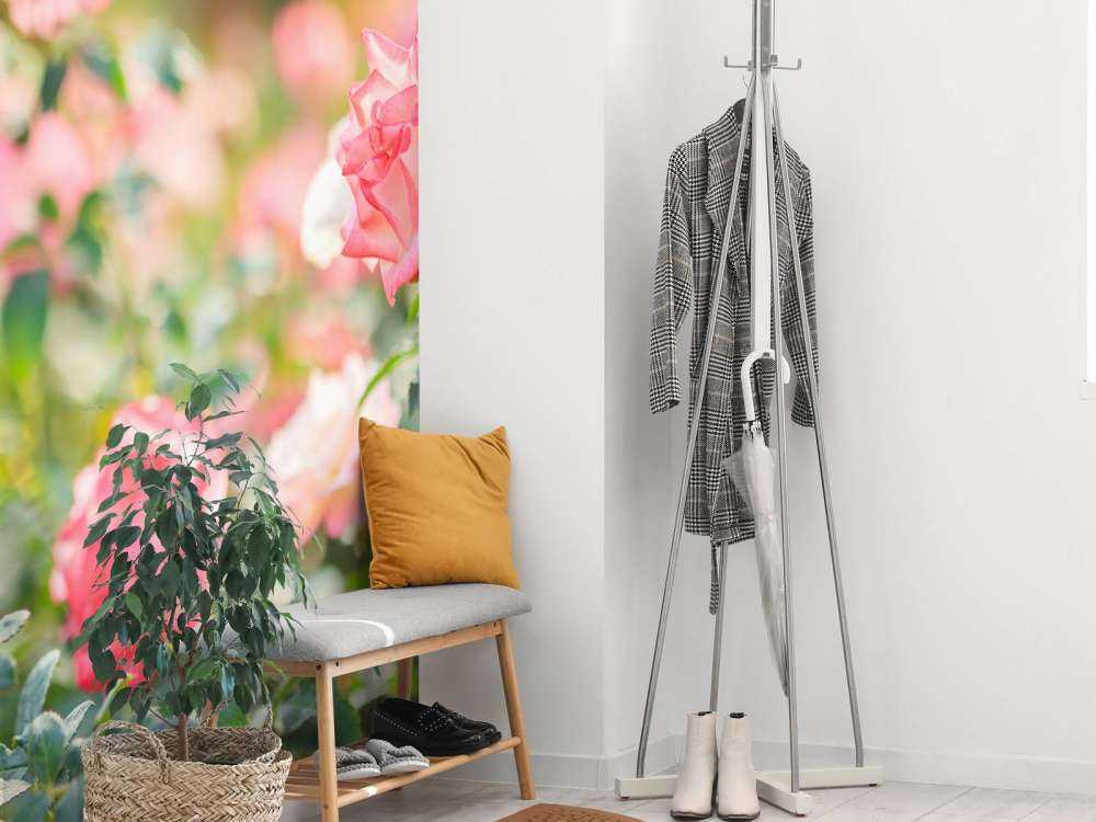 Light pink rose bush