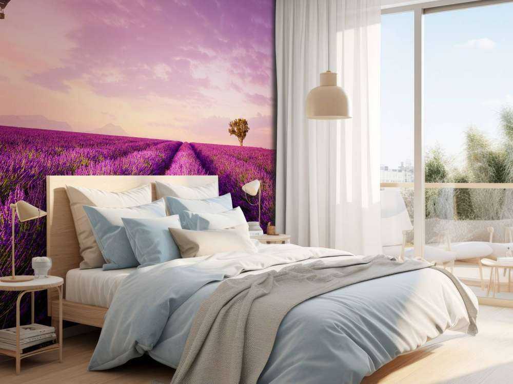 Lavender field and hot air balloon