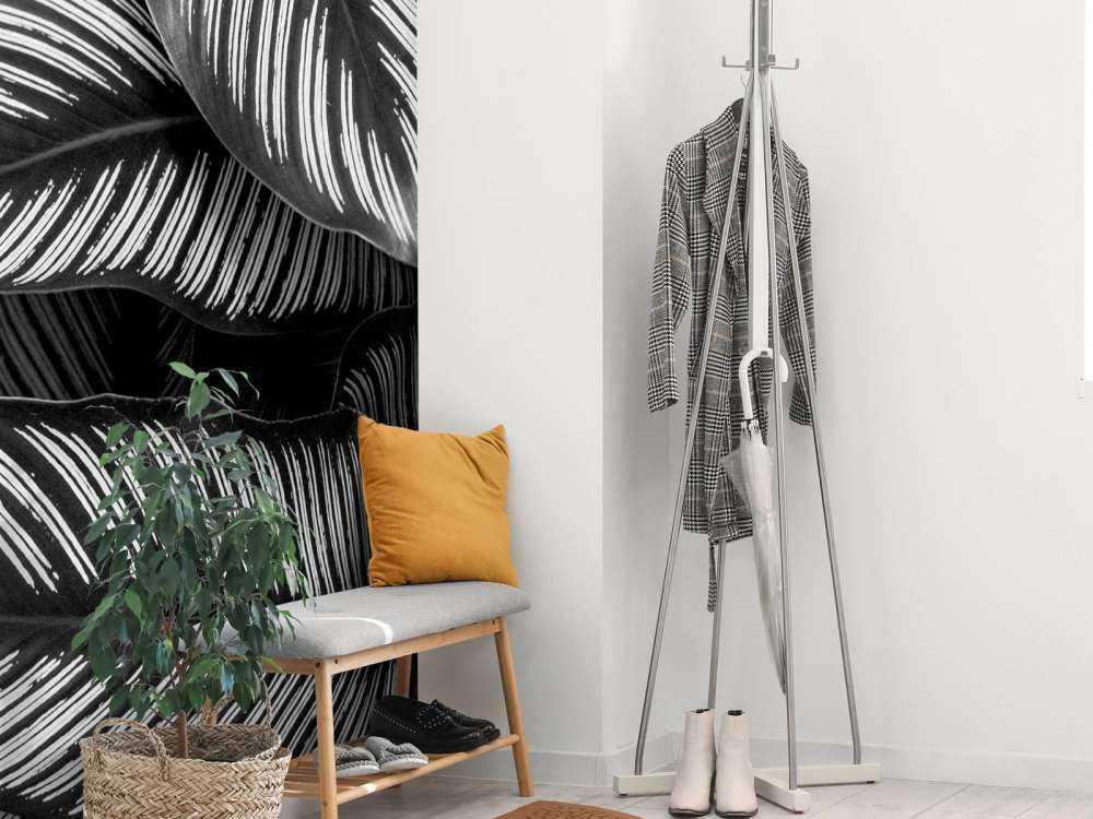 Black and white palm leaves