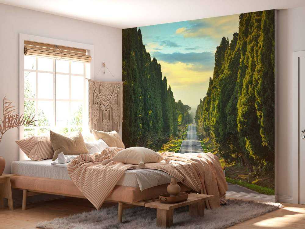 Road with tall trees