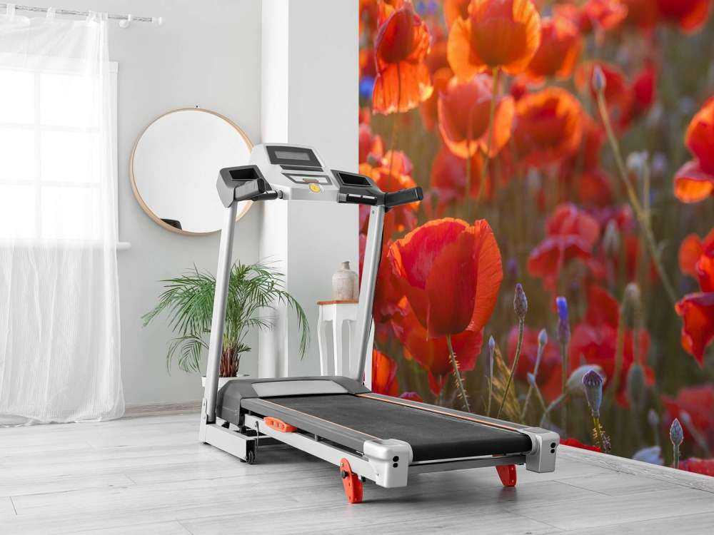 Poppies and cornflowers