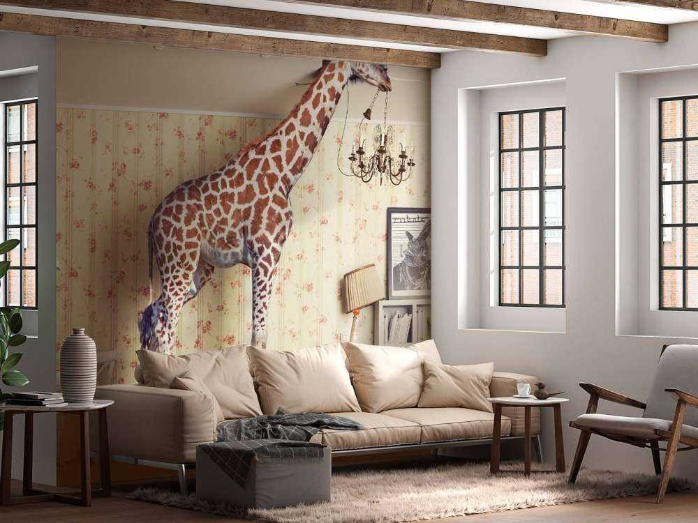 Giraffe in the living room