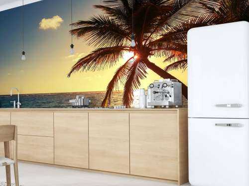 Tropical beach