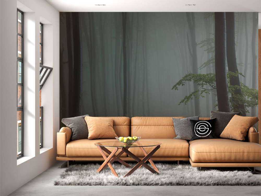 Foggy forest panorama