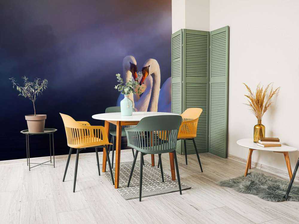 Love couple white swans