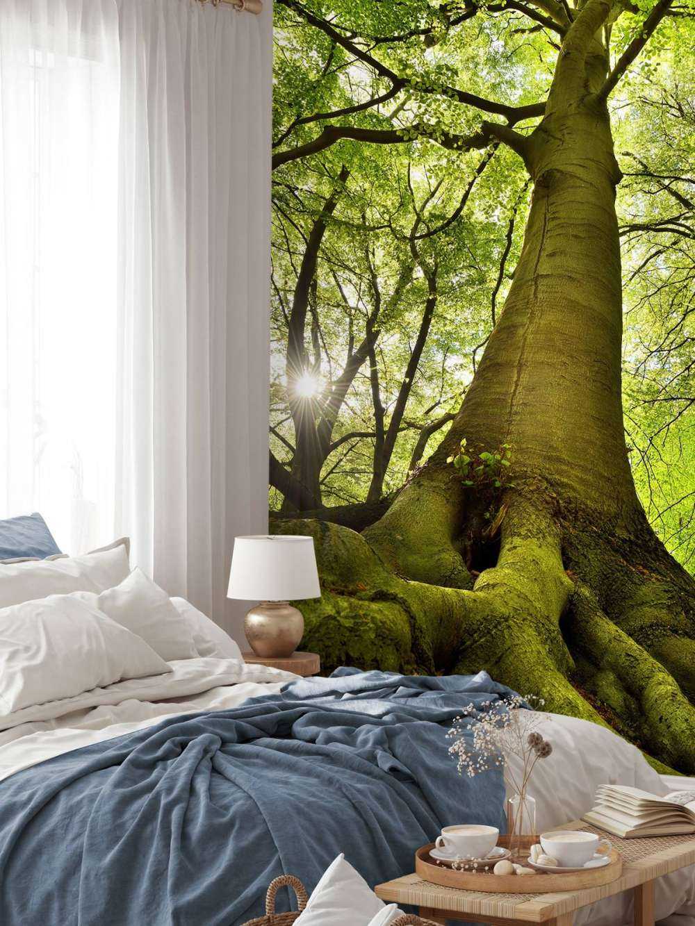 Large tree and roots