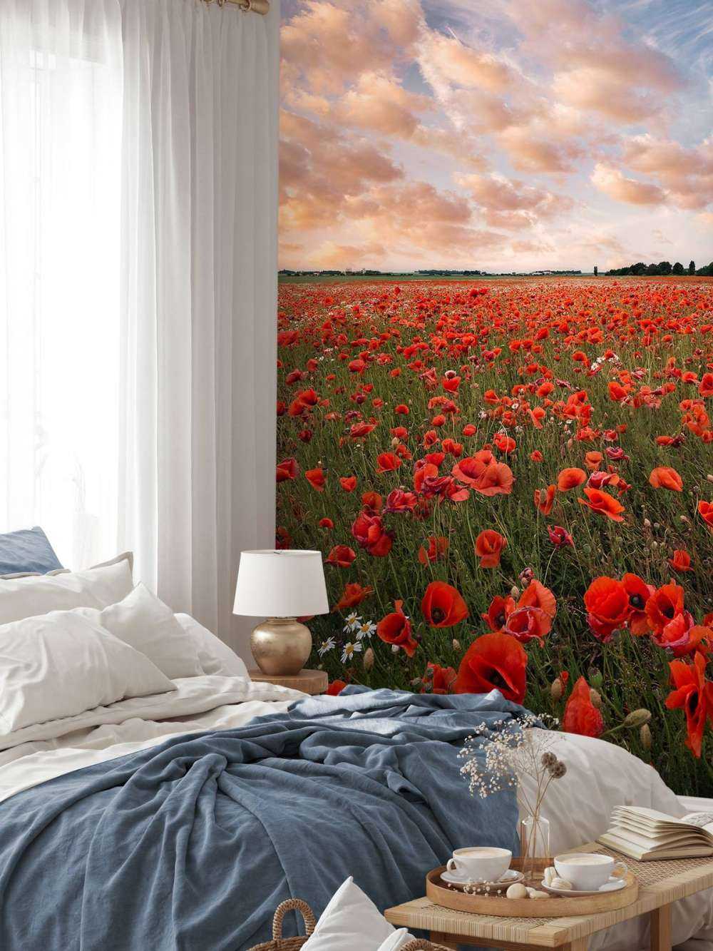 Poppy field in Sweden