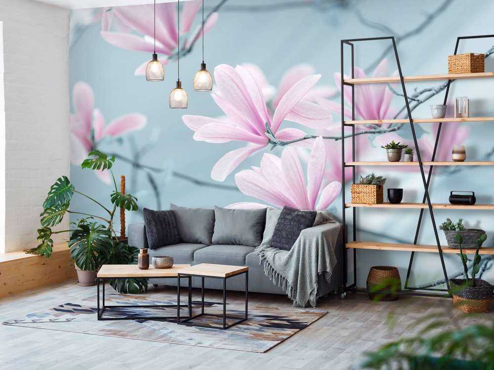 Magnolia flowers
