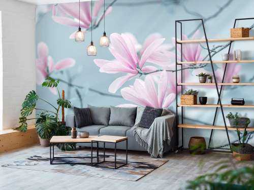 Magnolia flowers