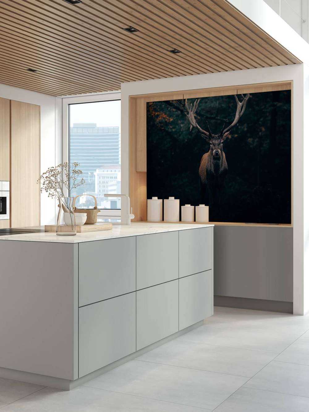 Fallow deer in the woods