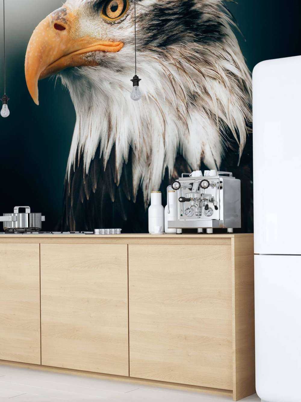 Close-up sea eagle