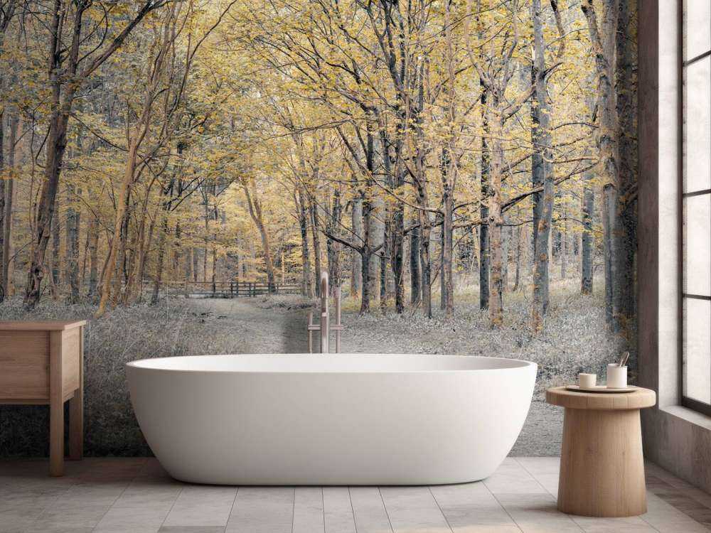 Forest road during autumn