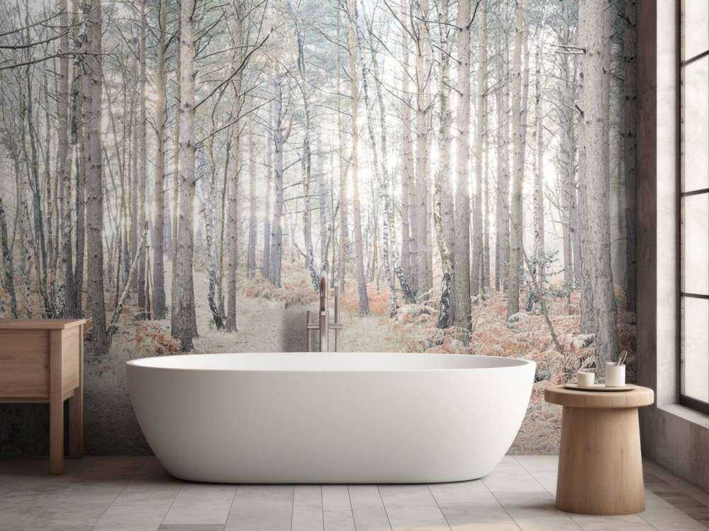 Sand path through forest