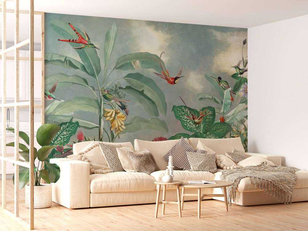 Hummingbird Paradise